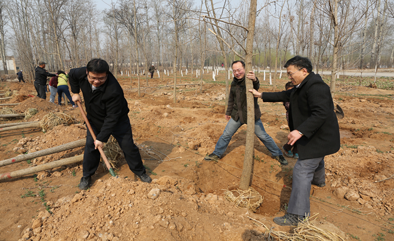 计算机系植树2.jpg 计算机系植树2.jpg